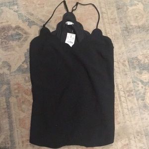 Black scallop tank